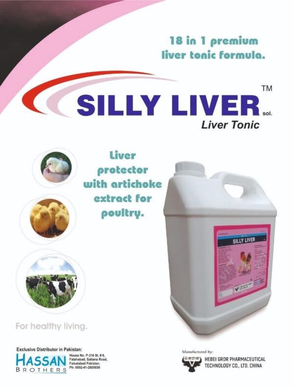 05c6bb97-f5ef-4d30-9d2a-0d9bbaed03ce SILLY LIVER