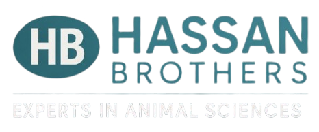 Hassan Brothers