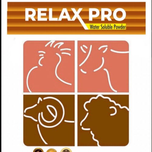 RELAX PRO