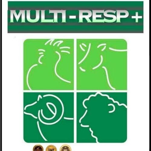 MULTI - RESP +