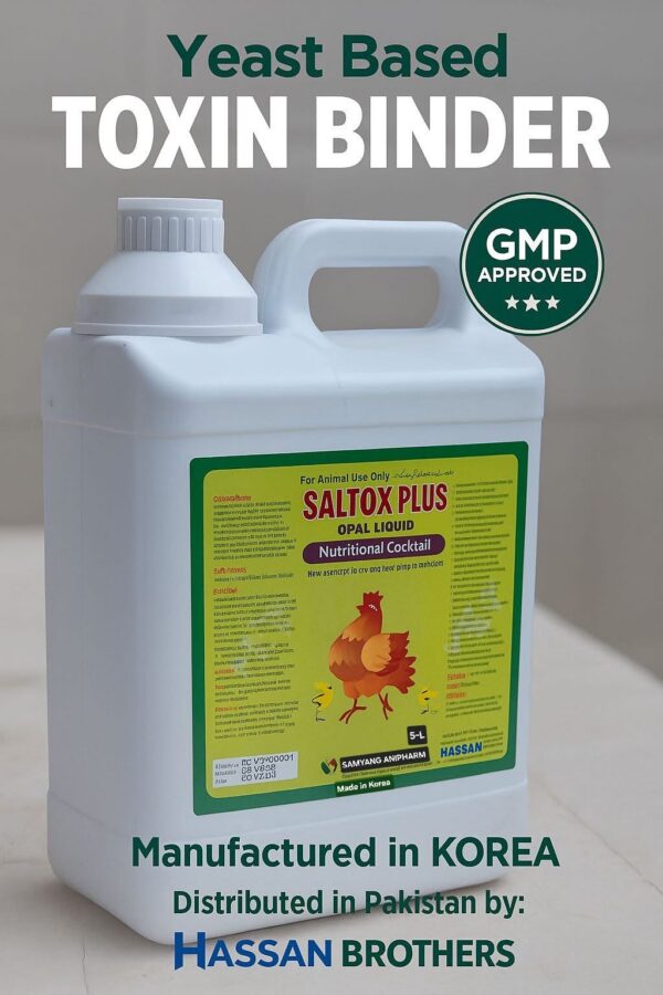 WhatsApp Image 2026-09-04 at 2.41.20 PM SALTOX PLUS