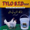 WhatsApp Image 2026-09-04 at 2.41.21 PM TYLO S.T.D