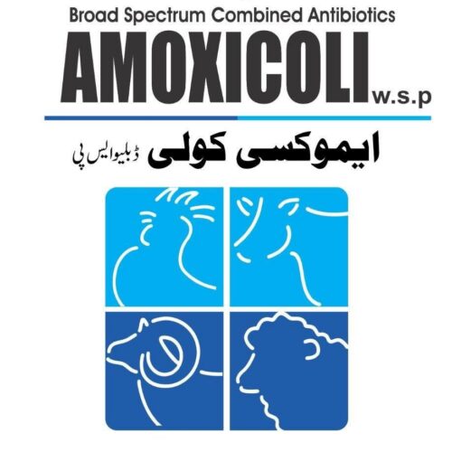 AMOXICOLI